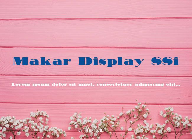 Makar Display SSi example