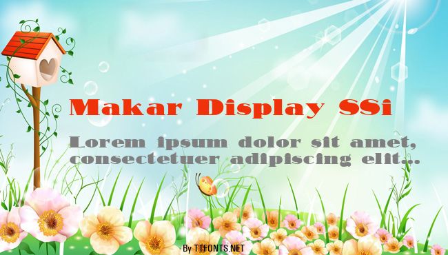 Makar Display SSi example