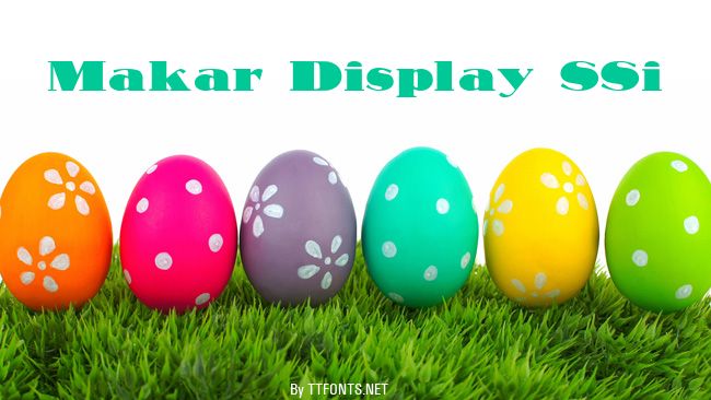 Makar Display SSi example