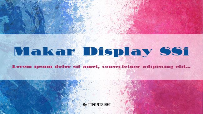 Makar Display SSi example