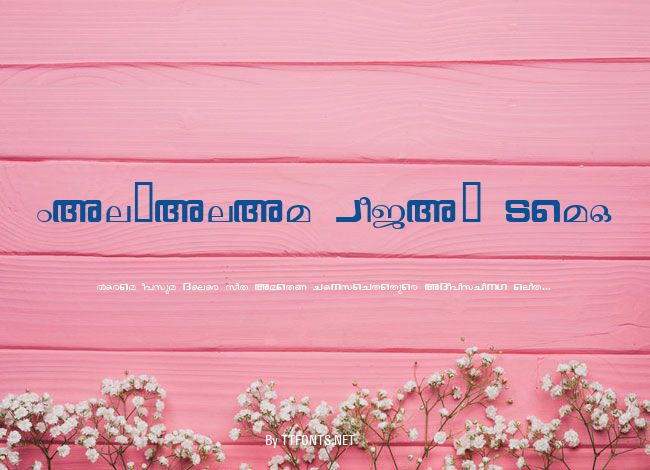 Malyalam Vijay Demo example