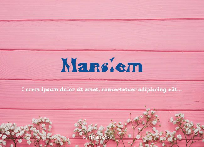 Manslem example