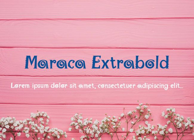 Maraca Extrabold example