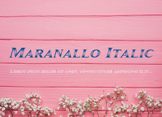 Maranallo Italic example