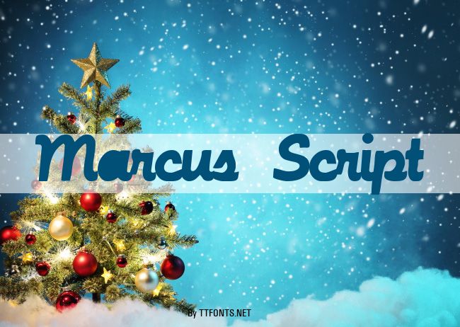 Marcus Script example