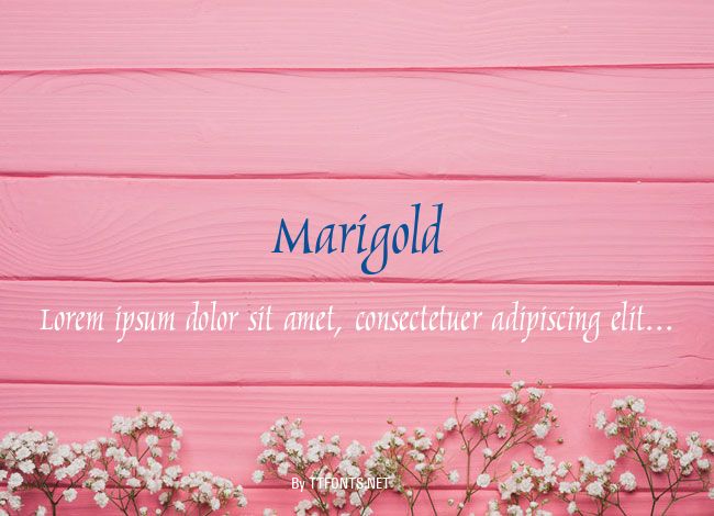 Marigold example