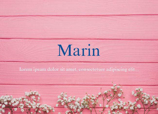 Marin example