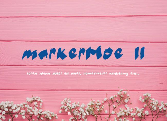 markerMoe II example
