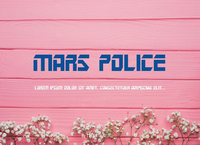 Mars Police example