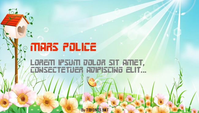 Mars Police example