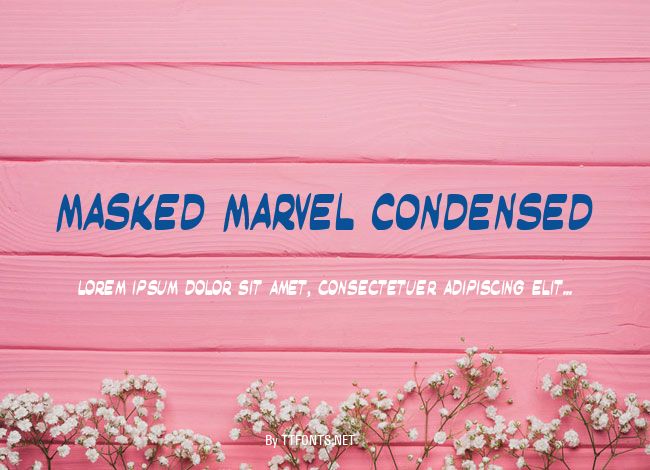 Masked Marvel Condensed example