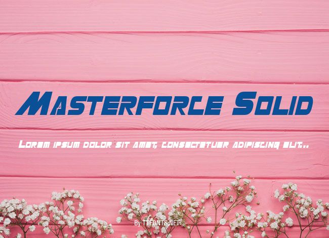Masterforce Solid example