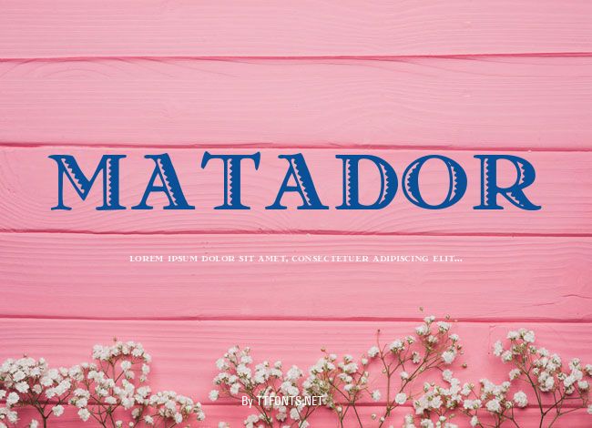 Matador example