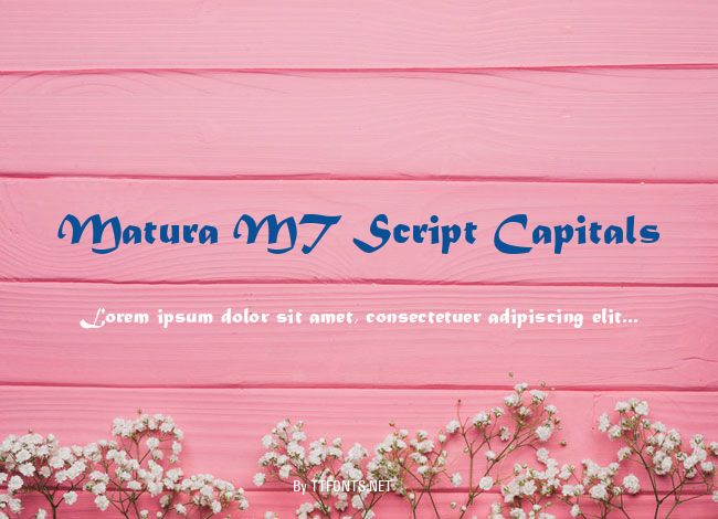 Matura MT Script Capitals example
