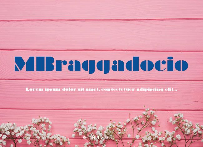 MBraggadocio example