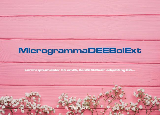 MicrogrammaDEEBolExt example