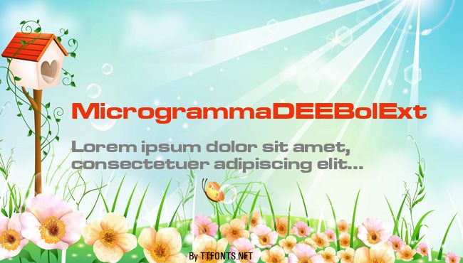 MicrogrammaDEEBolExt example