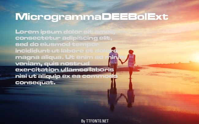 MicrogrammaDEEBolExt example