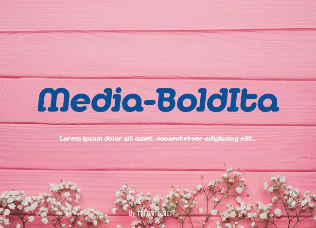 Media-BoldIta example