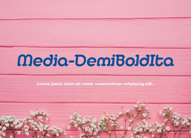 Media-DemiBoldIta example