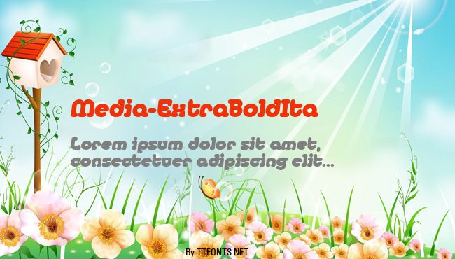 Media-ExtraBoldIta example