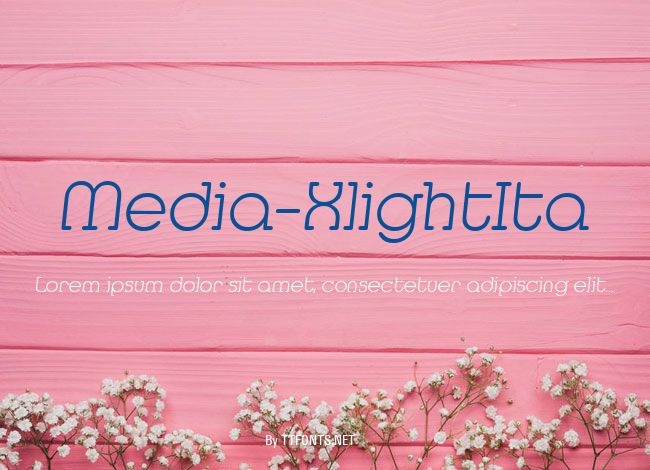 Media-XlightIta example