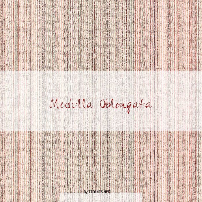 Medulla Oblongata example