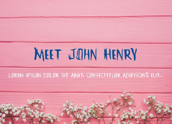 Meet John Henry example