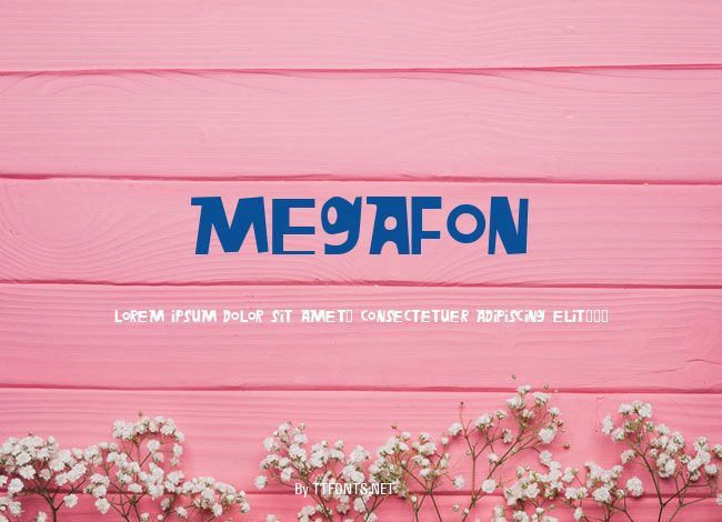 Megafon example