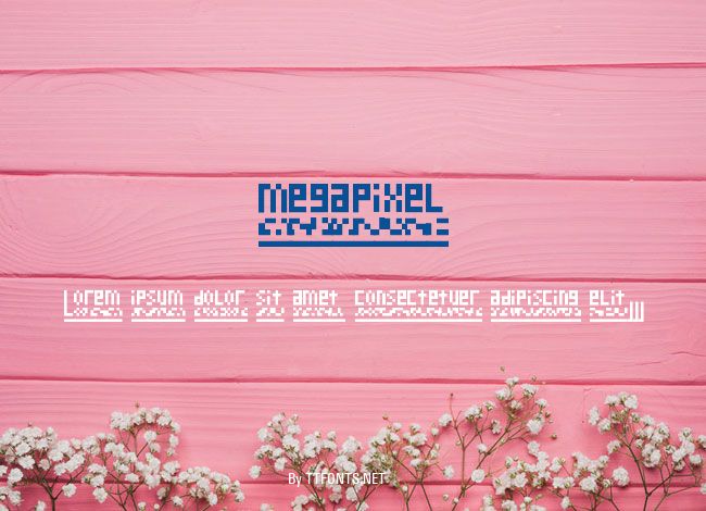 megapixel example