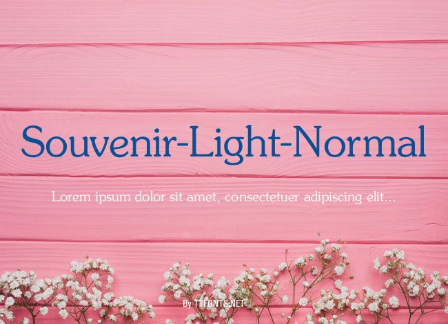 Souvenir-Light-Normal example