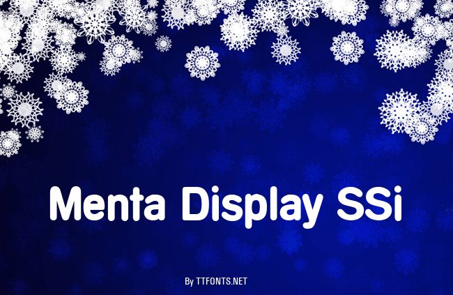 Menta Display SSi example