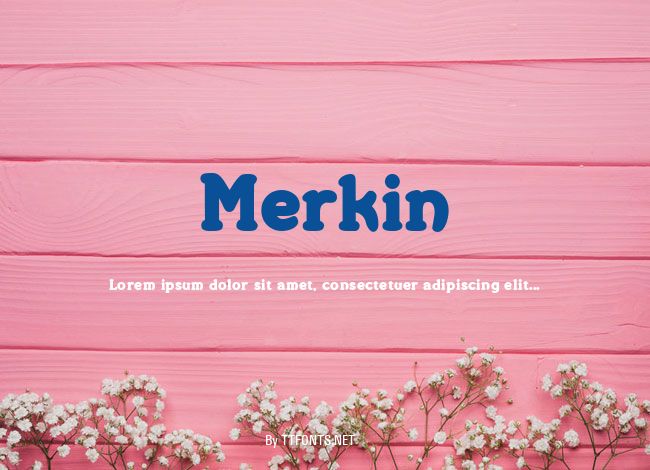 Merkin example