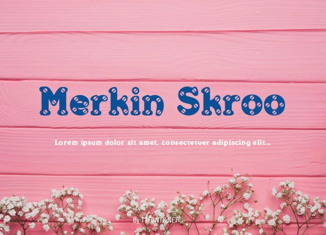 Merkin Skroo example