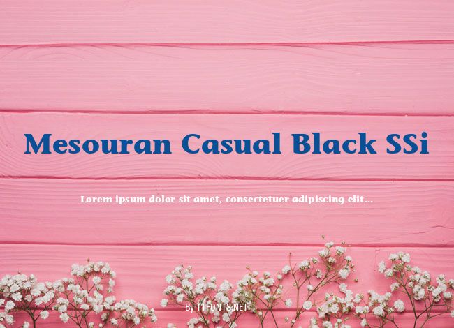 Mesouran Casual Black SSi example