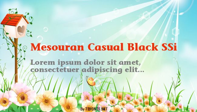 Mesouran Casual Black SSi example