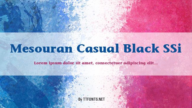 Mesouran Casual Black SSi example