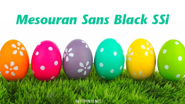 Mesouran Sans Black SSi example