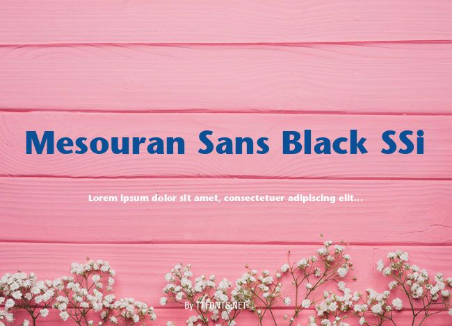 Mesouran Sans Black SSi example