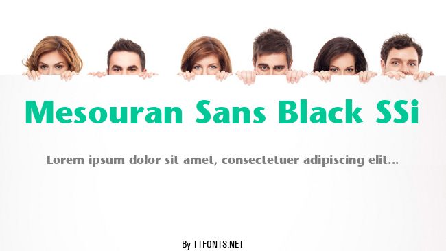 Mesouran Sans Black SSi example