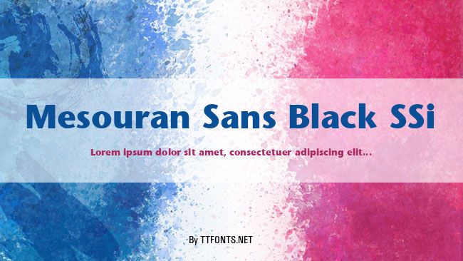 Mesouran Sans Black SSi example