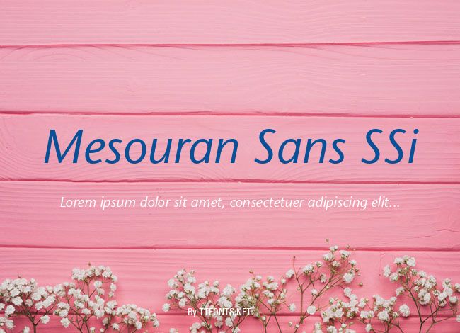 Mesouran Sans SSi example