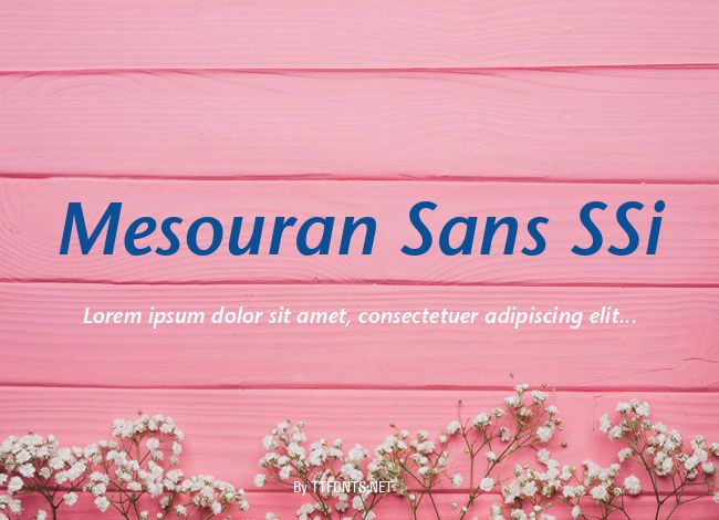 Mesouran Sans SSi example
