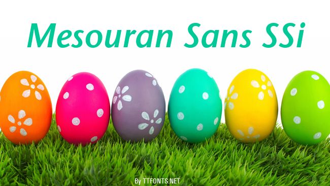 Mesouran Sans SSi example