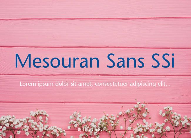 Mesouran Sans SSi example