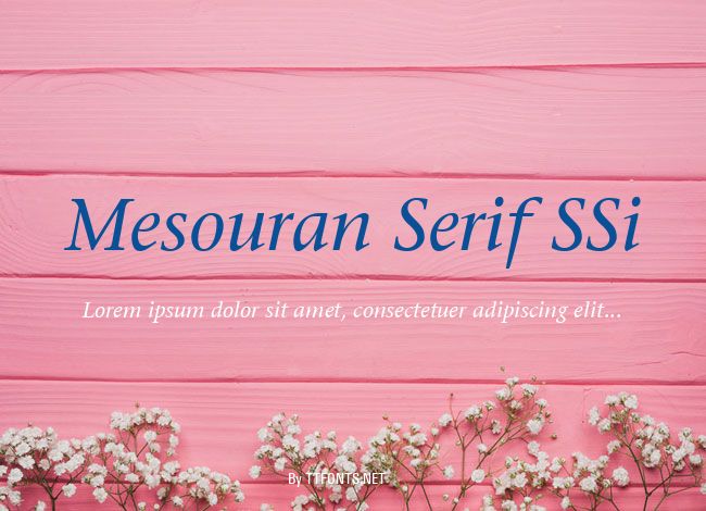 Mesouran Serif SSi example
