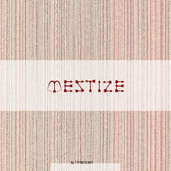 Mestize example