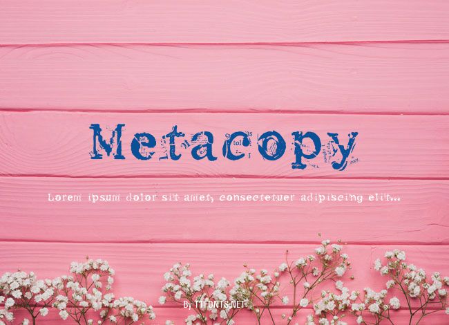 Metacopy example