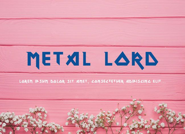 Metal Lord example
