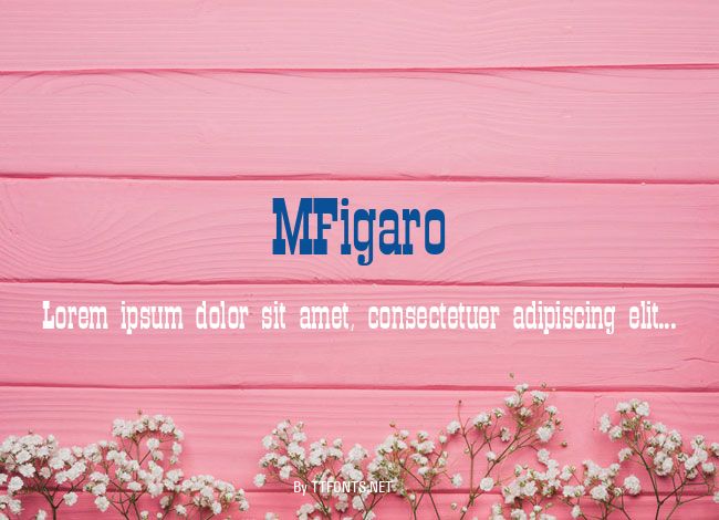 MFigaro example